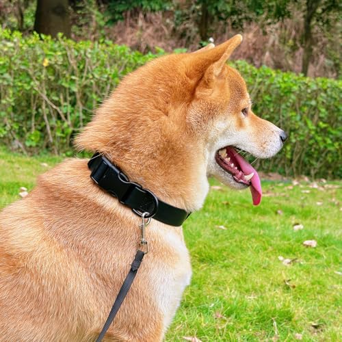 Waterproof Dog Collar Durable and Easy to Clean Rubber Dog Collars Odor-Proof Fits Small Medium Large Dogs (Black, Small (9.5-14.2” Neck)) - color: Black, size: Small (9.5 -14.2” Neck)