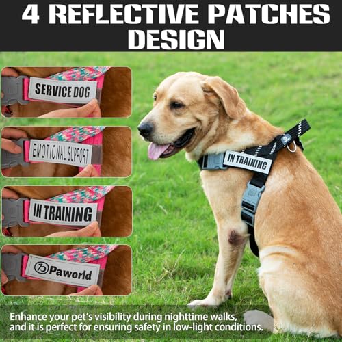 Service Dog Harness and Leash Set, No-Pull Service Dog Vest with 4 PCS Reflective Patches, Dog Vest Harness with Handle, Pet Harness for Small Medium Large Dogs in Training (Black, S) - color: Black (Leash + Harness + 4 Patches), size: Small (Chest: 19-25