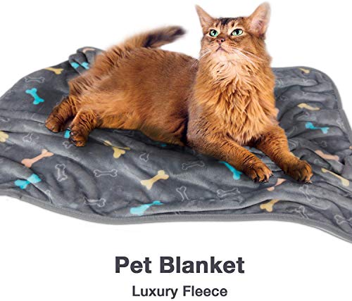 Allisandro Luxurious Dog Blanket, 350 GSM Super Fuzzy Microplush Fleece Pet Blankets for Small Medium Large Dogs and Cats, Grey Bone, 40 x 32 Inches - color: Grey Bone, size: 40" x 32"
