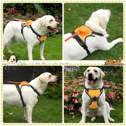3-in-1 Dog Harness with Built-in Leash, Comfortable Dog Walking Harness with Extendable Lead, Heavy Duty Dog Harness for Large Dogs, Auto-Lock & Tug Control (Orange-M)