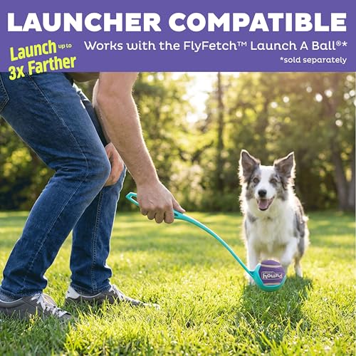Outward Hound FlyFetch Squeaker Ballz Dog Toy, Squeaking Fetch & Retrieve Tennis Balls, Floats in Water, Compatible with FlyFetch Launch-A-Ball, 2.5", 3-Pack - color: Squeaker Ballz Multi
