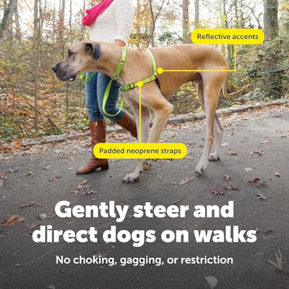 PetSafe Easy Walk Deluxe Dog Harness, No Pull Dog Harness – Perfect for Leash & Harness Training – Stops Pets from Pulling and Choking on Walks – Large, Apple - color: Apple Green, size: Large (Pack of 1)
