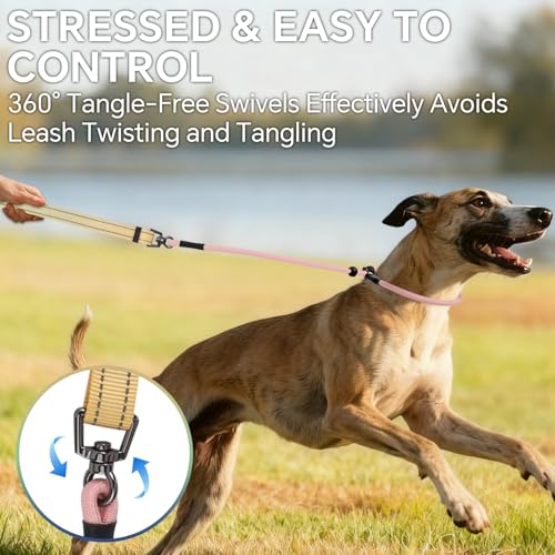 QQPETS Adjustable Slip Lead Dog Leash, Hands Free Waist Leash for Dog Walking, Reflective Training Lead with 360° Swivel Anti-Tangle, 4-7 ft Length for All Breeds - color: Rainbow colors
