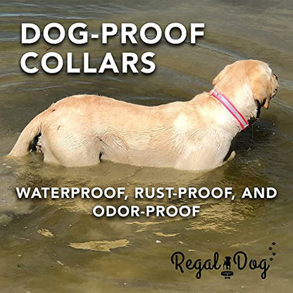 Regal Dog Products Small Red Reflective Dog Collar with Custom Engraved Name Plate and Heavy Duty Center Ring | Waterproof Biothane Personalized Dog Collars - Other Sizes for Medium & Large Dogs - color: Red, size: Small