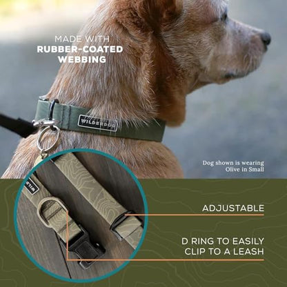 Wilderdog Waterproof Dog Collar - Repels Water & Dirt - Medium 13"-18" - Olive - color: Olive, size: Medium