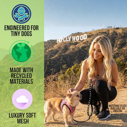 EcoBark Premium Teacup Dog Harness - Luxury Soft Tiny and Toy Breed Harness for Puppy - Mini Step in Vest Body Halter Under 5 lbs (Bubblegum Pink, XXXS) - color: Bubblegum Pink, size: XXXS- 2 to 3 lbs- Chest up to 10 in (Pack of 1)
