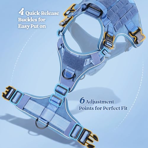 rabbitgoo Tactical Dog Harness Small Sized, No Pull Upgraded Reflective Heavy Duty Molle Vest with Handle, Adjustable Military Service Dog Vest for Walking Hiking Training, Blue, S - color: Blue Reflective, size: Small