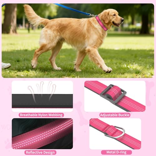Reflective Dog Collar with Buckle, Heavy Duty Dog Collars with Soft Padded, Adjustable, Ultra-Durable, Pet Collar for Small Medium and Large Dogs (HOT Pink, S) - color: Hot Pink, size: S (12-18'')