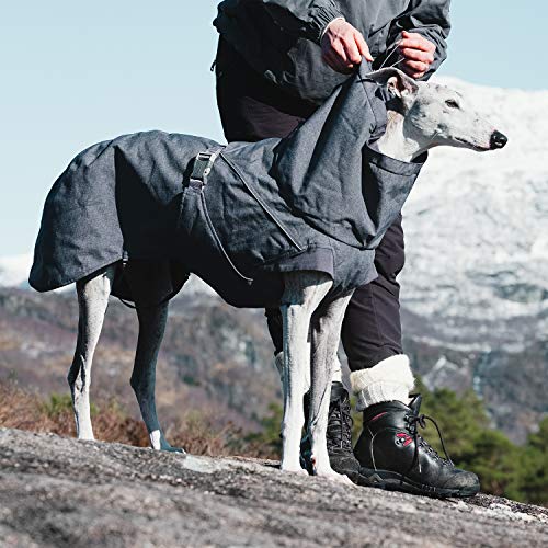 Hurtta Expedition Parka, Winter Dog Coat, BlackBerry, 32 in - color: Blackberry, size: 32