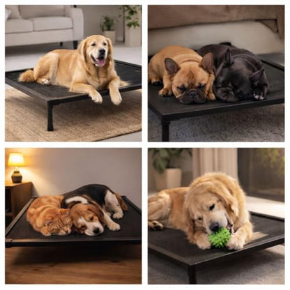 Elevated Dog Bed, Dog Cot for Medium Dogs, Aluminum Frame with Chew-Resistant PVC Fabric, Supports Up to 150 lbs, Indoor and Outdoor Use, Hardware Included, 42" x 30" x 7" - size: Medium