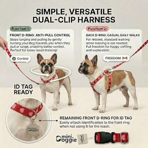 Heart Small Dog Harness – Soft Webbing, Front & Back Clip, No-Pull Design, Lightweight (Red, Medium) - color: Red, size: Medium