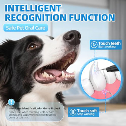 Plaque Remover for Teeth, Pet Ultrasonic Cleaner, Dog Plaque and Tartar Remover with LED Light, Dog Teeth Cleaning Dental Care Kit for Tartar and Stains, Suitable for Dogs and Cats (Black-1) - color: Black-1