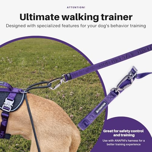 Heavy-Duty Tactical Dog Leash for Medium & Large Dogs, 6-in-1 Hands-Free Lead for Training, 4-7.5FT Adjustable Waist Belt for Walking (Onyx Black) - color: Black