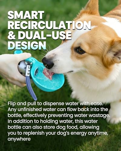 Foldable Pet Water Bottle for Travel, 2 in 1 Portable Dog Water Bottle, 9.6 Oz Stainless Steel Bottle with Silicone Bowl, Leak-Proof Water Dispenser Ideal for Small Dog Walking (Blue-Pattern) - color: Blue-Pattern
