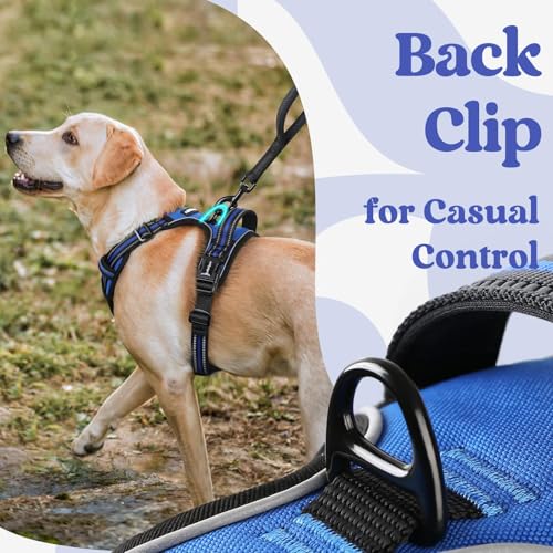 rabbitgoo Dog Harness Medium Sized, No Pull Easy On & Off with 3 Buckles Pet Harness, Adjustable Soft Walking Vest with 2 Clips and Handle, Reflective for Medium Dogs, Blue, M - color: Blue, size: Medium