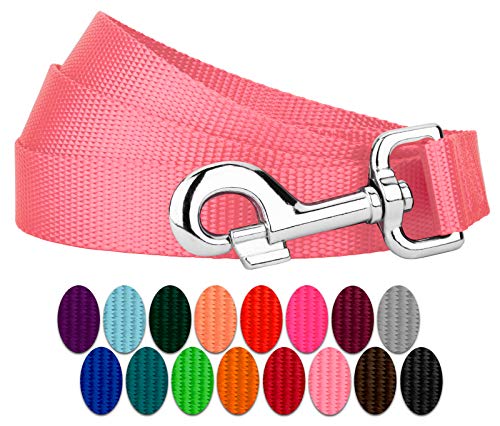Country Brook Petz - Vibrant 17 Color Selection - Heavyduty Doublehandle Nylon Leash (6 Foot, 3/4 Inch Wide, Pink) - color: Pink