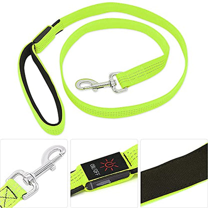 Candofly Glowing LED Dog Leash, Rechargeable Pet Leash with Lights, 4 Ft Light Up Dog Leash for Night Walking Keep Your Pets Visible (Neon Green) - color: Neon Green