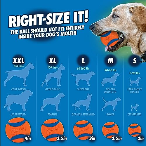 Chuckit! Pro 26L Dog Ball Launcher, 26" Length, Includes Large Ball (3") For Dogs 60-100 Pounds - size: Large, style: Pro