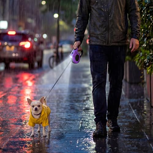 Retractable Dog Leash with USB Rechargeable Flashlight for Night Walks, 16FT Automatic Telescopic Tractor Dog Leash for Small and Medium Dogs, Purple - color: Purple