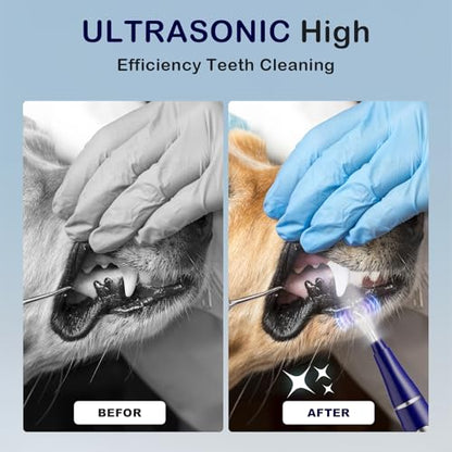 Plaque Remover for Teeth, Pet Ultrasonic Cleaner, Dog Plaque and Tartar Remover with LED Light, Dog Teeth Cleaning Dental Care Kit for Tartar and Stains, Suitable for Dogs and Cats (Blue) - color: Blue