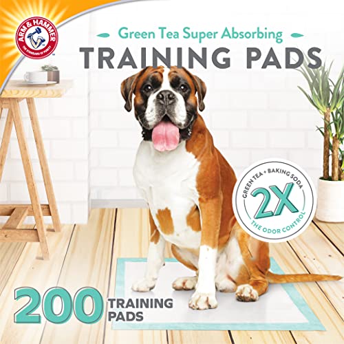 Arm & Hammer Green Tea Pet Training Pads, 200 Count, Super Absorbent with Green Tea and Baking Soda, 2X Odor Control, 5-Layer Leak-Proof Construction, 22.5 x 22.5 Inch - size: 22.5" x 22.5" 200 Count