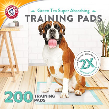 Arm & Hammer Green Tea Pet Training Pads, 200 Count, Super Absorbent with Green Tea and Baking Soda, 2X Odor Control, 5-Layer Leak-Proof Construction, 22.5 x 22.5 Inch - size: 22.5" x 22.5" 200 Count
