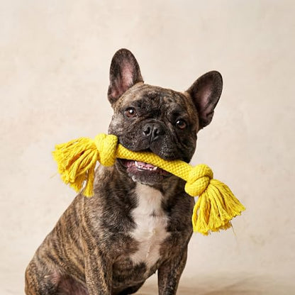 Playology Dog Toys | Dri-Tech Rope Toy Tug of War Rope for Aggressive Chewers | Medium Chicken Scented Toy - Easy to Clean and Made from Non Toxic Materials - size: Medium, style: Chicken