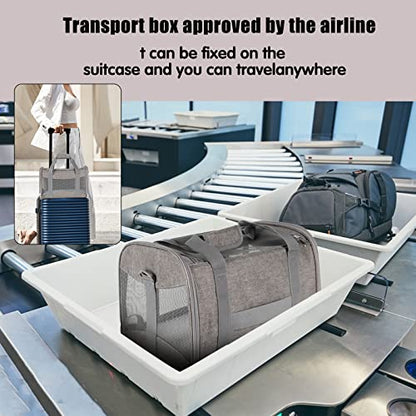 Cat Carrying Case - Pet Carrier Airline Approved, Protable and Breathable Pet Travel Carrier Removable Fleece Pad, Collapsible Cat Carrier Dog Carrier for Medium Cats Small Cats Dogs (X-Large, Grey) - color: grey, size: 20.0"L x 13.0"W x 13.0"H