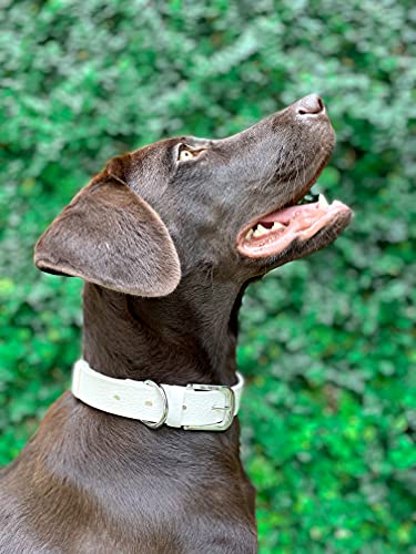 Tuff Pupper Classic Heavy Duty Dog Collar | 10x Stronger Than Leather | 100% Waterproof & Odor Proof Dog Collar | Tough Rust-Proof All Metal Hardware - color: Snow White