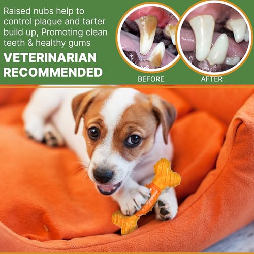 SPOT Bam-Bones Dental Bone - Made with Bamboo Fiber and a Massaging Rubber Center, Durable Oral Care Dog Chew for Light Chewers & Teething Puppies Under 40lbs, 7in, Allergen Free Peanut Butter Flavor - size: Large