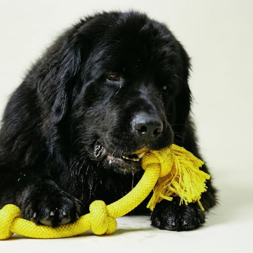 Playology Dog Toys | Dri-Tech Rope Tug of War Dog Toy for Tough Chewers | Chicken Scented Mega Size Tug Rope Toys for Extra Large Dogs - size: Mega, style: Chicken