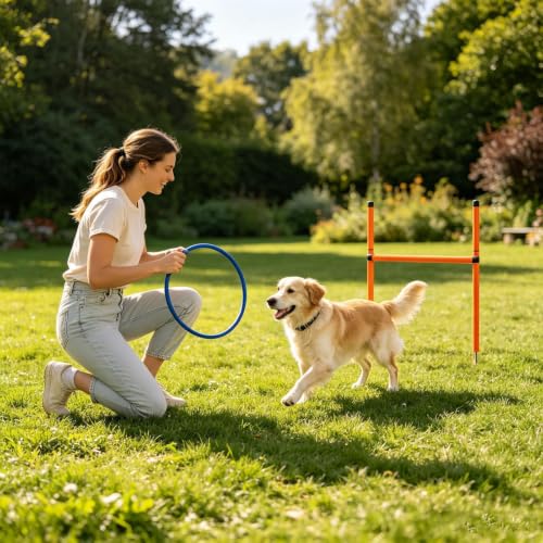 Agility Course for Dogs Exercise Game with Tunnel | Dog Playground Equipment for Outdoor Garden Park Beach Playground Field Competition Recreation - color: B