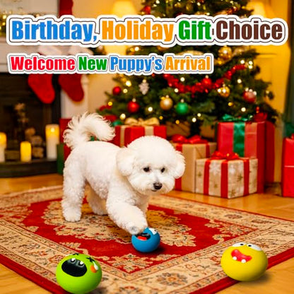 Dog Squeaky Toys for Small Dogs - Assorted Latex Rubber Puppy Squeaky Dog Balls Flat, Smile Face Interactive Fetch Dog Toys with Squeaker, Floating Pet Toys for Indoor & Outdoor Play, 4 Pack