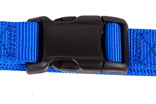 GOGO Pet Products 3/4-Inch Martingale Dog Collar, Medium, Blue - color: Blue, size: Medium (3/4" web width)