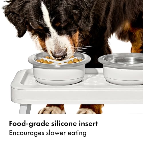 OXO Pet Easy-Clean Slow Feeder - Large - size: Large