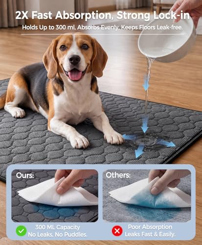 Doglike [Upgraded Silver-Ion Odor] Washable Pee Pads for Dogs – Ultra Absorbent, Leak-Proof, Non-Slip & 5-Hour Quick-Drying Reusable Puppy Training Pads for Home, Crate & Sofa, 24" x 24" (2 Pack) - size: 24" x 24"【Industry #1 Ag+ Fabric Application】