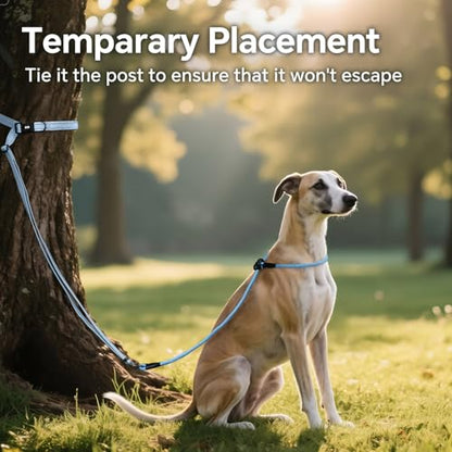QQPETS Adjustable Slip Lead Dog Leash, Hands Free Waist Leash for Dog Walking, Reflective Training Lead with 360° Swivel Anti-Tangle, 4-7 ft Length for All Breeds - color: Blue Gradient