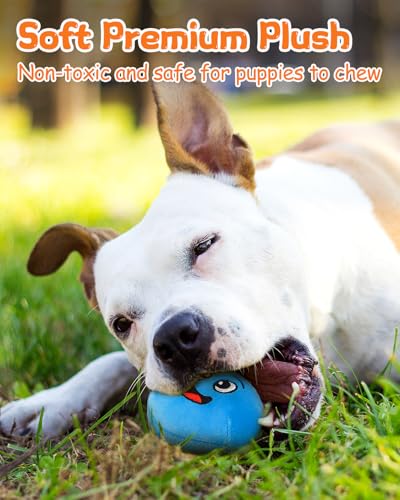 Squeaky Dog Toys, Interactive Soft Plush Puppy Toy Balls for Small Medium Breed, Cute Stuffed Pet Teething Ball Pack to Keep Dogs Busy - size: Small