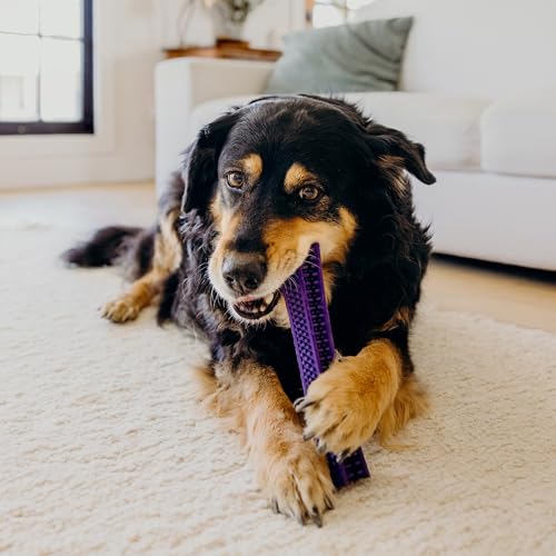 Playology Dog Toys | Dental Chew Stick for Large Senior Dogs | Pork Sausage Scented Jumbo Toy | Dog Chew Toy for Healthy Teeth and Gums - size: Jumbo Chew Stick, style: Pork Sausage