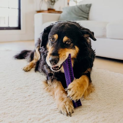 Playology Dog Toys | Dental Chew Stick for Large Senior Dogs | Pork Sausage Scented Jumbo Toy | Dog Chew Toy for Healthy Teeth and Gums - size: Jumbo Chew Stick, style: Pork Sausage