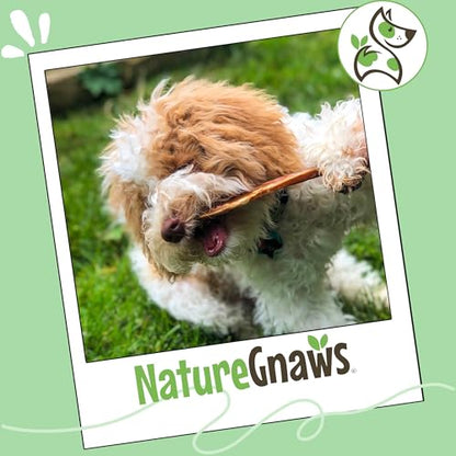 Nature Gnaws Extra Thin Bully Sticks for Small Dogs 5-6" (10 Count) - Long Lasting for Light Chewers and Puppies - Natural Beef Dog Chew Bones - size: 10 Count (Pack of 1)