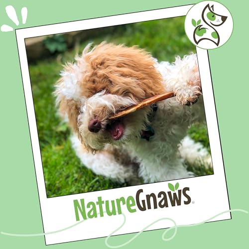 Nature Gnaws Extra Thin Bully Sticks for Small Dogs 5-6" (25 Count) - Long Lasting for Light Chewers and Puppies - Natural Beef Dog Chew Bones - size: 25 Count (Pack of 1)