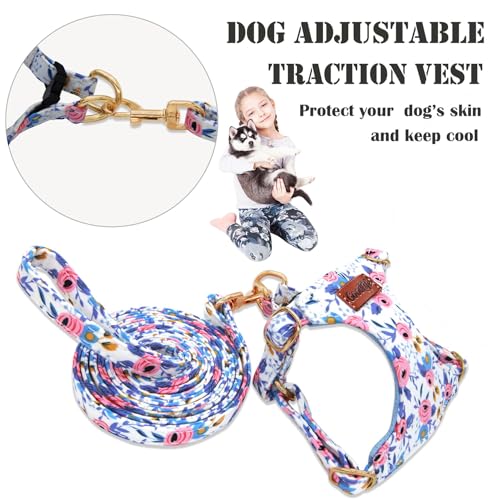 OaaXbbECco No Pull Floral Pattern Puppy Harness,Soft Adjustable Dog Harness Vest and Dog Leash Set No Choke Escape Proof (Blue Rose, XS) - color: Blue Rose, size: XS