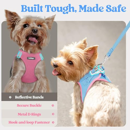 rabbitgoo Dog Harness Small Sized and Leash Set, Step in Soft Light Puppy Vest, Breathable Mesh Pet Harness, Reflective for Safe Easy Walking, Blue & Light Pink XXXS - color: Blue & Light Pink, size: Xxxs (chest: 10.8 - 11.8")