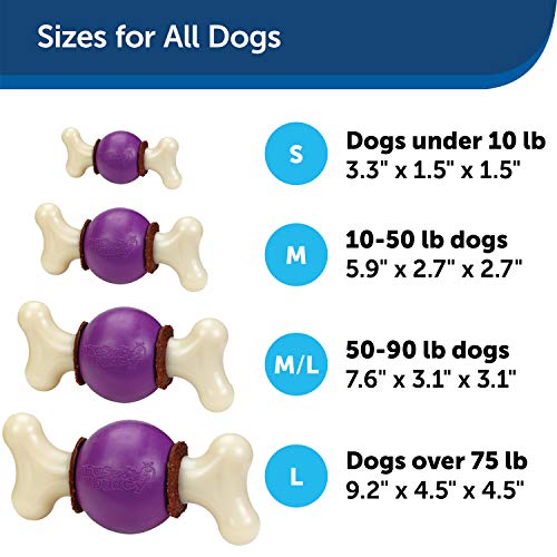 PetSafe Busy Buddy Bouncy Bone, Treat Holding Dog Toy, Medium/Large, Best for Dogs 50-90 Lb.