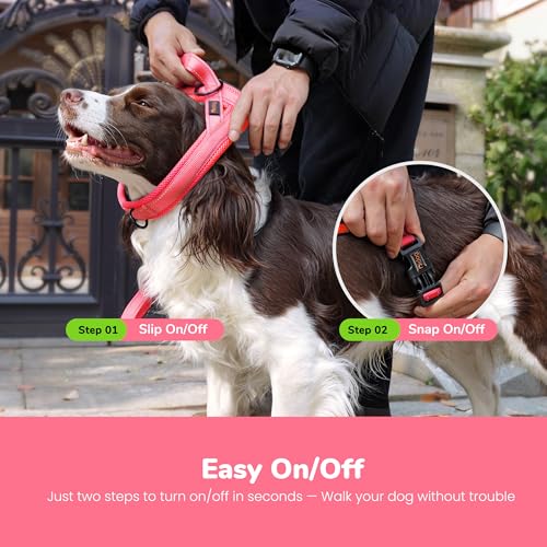 Didog No Pull Dog Harness with Breathable Mesh Padded,Reflective & Quick Fit Light Weight Dog Strap Vest Harness,Easy for Walking Training (XS:Chest 15-18", Pink) - color: Pink, size: XS: Chest 15-18", Fit 9-18 lbs