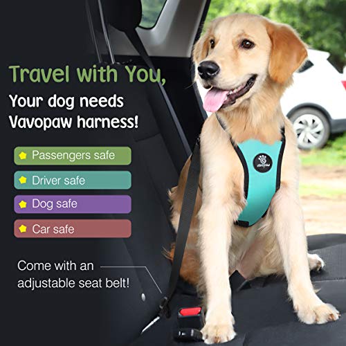 VavoPaw Dog Seat Belt, Safety Vest Dog Car Harness with Adjustable Buckle Dog Seat Belt for Vehicle Nylon Pet Safety Seat Belts Heavy Duty(L, Blue) - color: Blue, size: L (Chest: 22-32.3", Neck: 16.9-26")