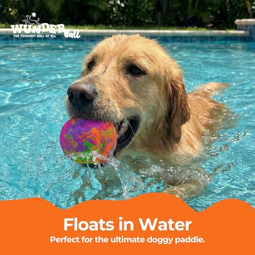 WACKYwalk'r WUNDERball Durable Dog Fetch Toy – Indestructible Natural Rubber Ball, Safer Than Tennis Balls, Floats for Indoor & Outdoor Play, Handmade in North America, Swirl Medium (up to 40 lbs.)
