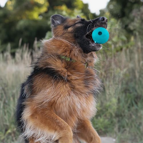 Chew King Flavored Rubber Ball Collection, 3 Inch Peanut Butter Flavor Rubber Balls 2-Pk - color: F) 3" 2-Pack (Peanut Butter)