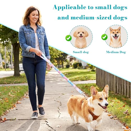 Dog Leash for Small to Medium Dogs, Shock Absorbing Dog Leashs, Dog Walking Leash, Dog Training Leashs, Ombre Color， 4-5.5 Feet(Pink-Blue Ombré) - color: Pink-Blue Ombré